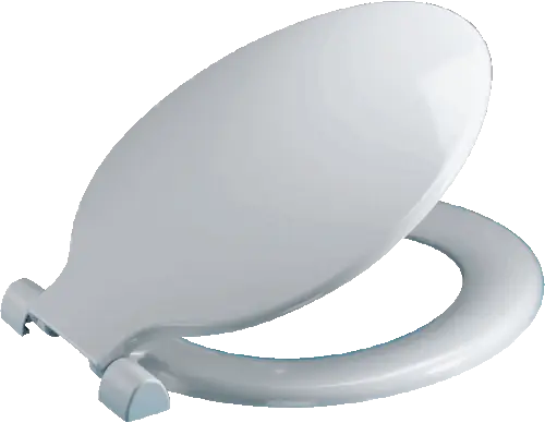 Replacing a Toilet Seat