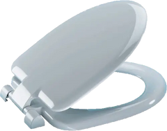 Replacing a Toilet Seat