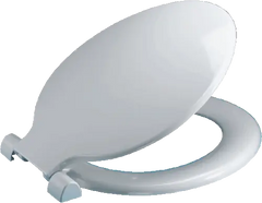 Replacing a Toilet Seat