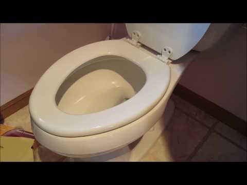 Replacing a Toilet Seat